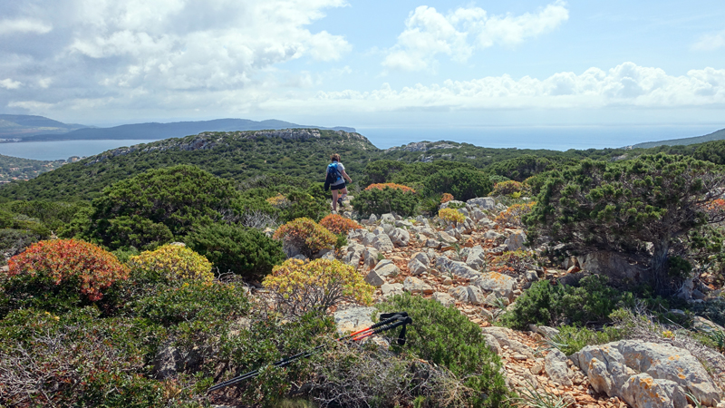 2016-04-27_114228 sardinien-2016.jpg - Wanderung am Capo Caccia